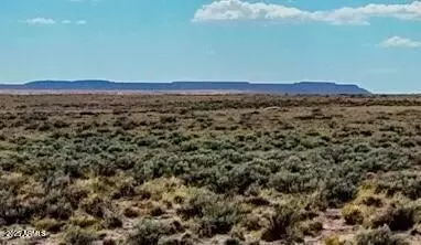 tbd County Road N7012 40 Acres -- #-, Sanders, AZ 86512