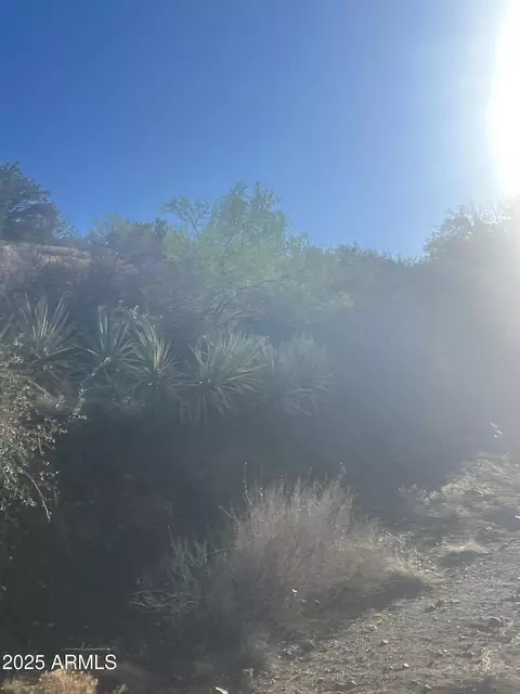 NN Black Peak Road #90, Globe, AZ 85501