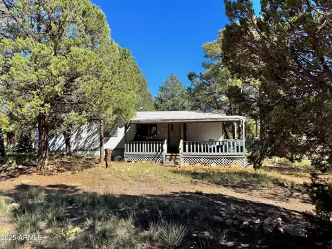 3527 Broken Arrow Rd, Overgaard, AZ 85933 photo 8