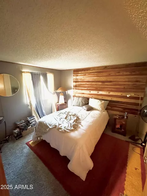 3527 Broken Arrow Rd, Overgaard, AZ 85933 photo 9