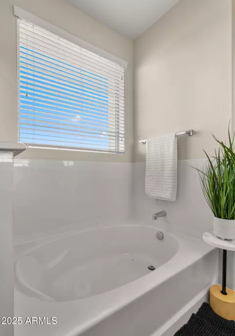 Bath - 10220 E Talameer Ave, Mesa, AZ 85212 photo 7 of 7