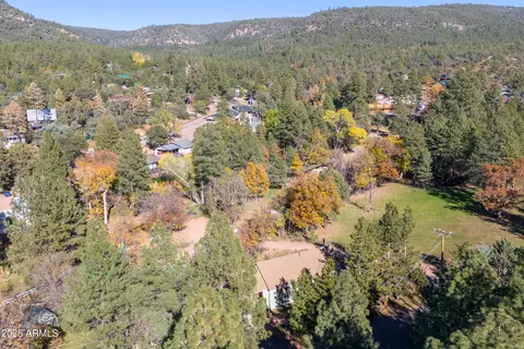 8096 W Parkinson Dr, Pine, AZ 85544 photo 7