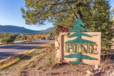 8096 W Parkinson Dr, Pine, AZ 85544 photo 37