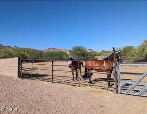 4443 N Saguaro Dr, Apache Junction, AZ 85120 photo 32