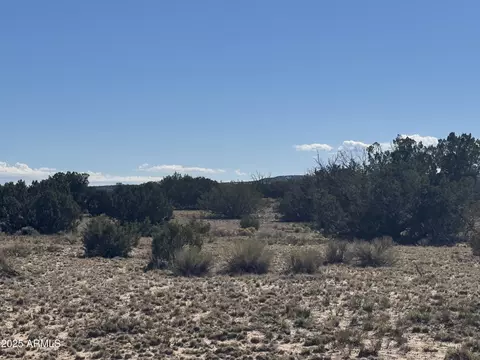 Lor 736 Woodland Valley Ranch -- #736, Saint Johns, AZ 85936