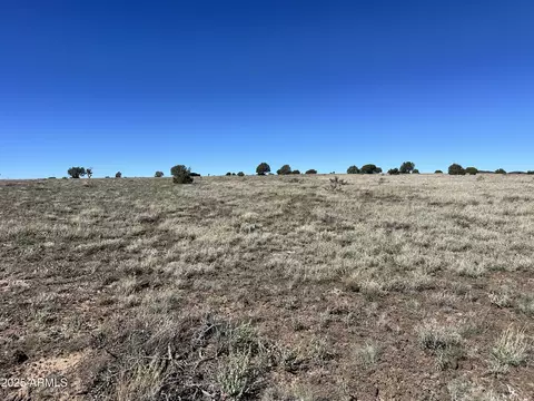 0 Dozer -- #145, Ash Fork, AZ 86320