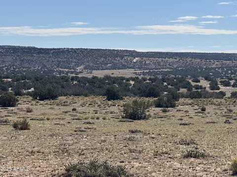 lot746 Woodland Valley Rnch #746, Saint Johns, AZ 85936