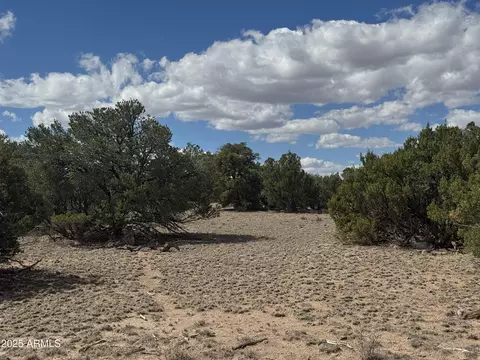 lot131 Elk Valley Rnch #131, Saint Johns, AZ 85936