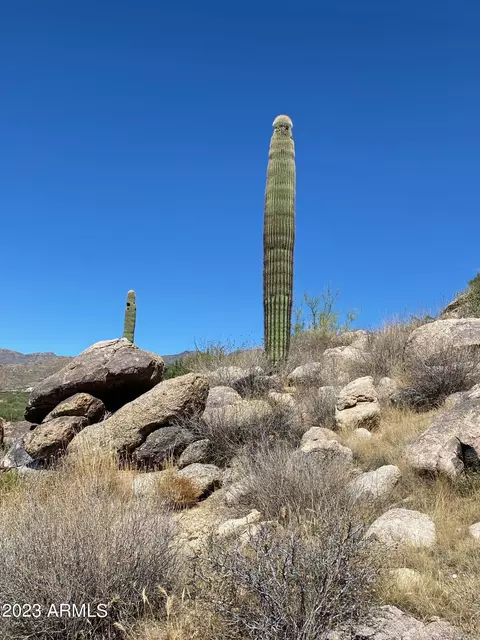 23325 W Gold Dollar Trl #-, Congress, AZ 85332