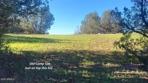 991 Wolf Run #991, Williams, AZ 86046