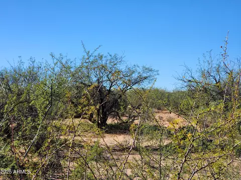 lot S Calle Molinar 350-350 -- #-, Sierra Vista, AZ 85650