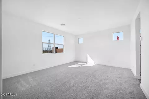 9222 S 169th Dr, Goodyear, AZ 85338 photo 22