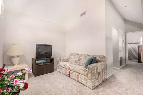 Other - 1633 E Lakeside Dr #161, Gilbert, AZ 85234 photo 3 of 8