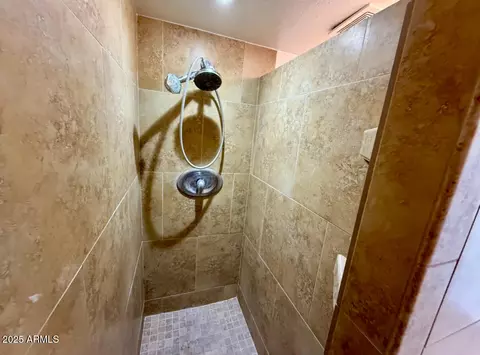 Bath - 1927 E Hampton Ave #116, Mesa, AZ 85204 photo 1 of 4