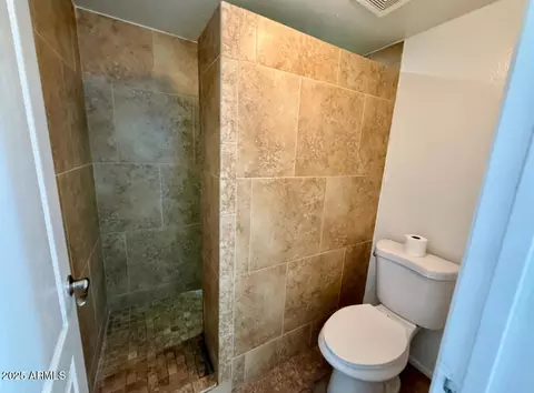 Bath - 1927 E Hampton Ave #116, Mesa, AZ 85204 photo 2 of 4