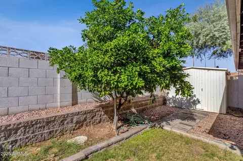 Exterior - 2041 E Karen Dr, Phoenix, AZ 85022 photo 8 of 12