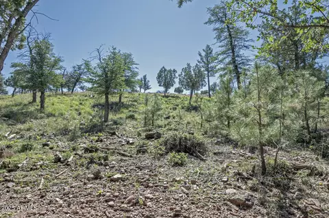 Other - 6253 W Sharyn Rd, Pine, AZ 85544 photo 6 of 13