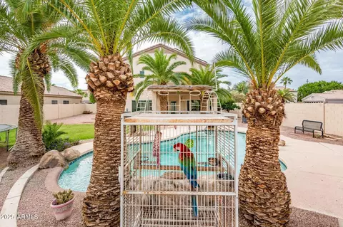 Exterior - 1648 E Palomino Dr, Gilbert, AZ 85296 photo 7 of 7