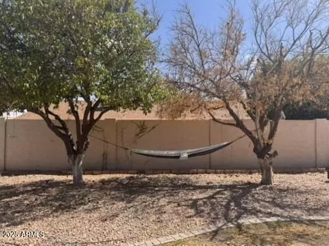 Exterior - 1701 E Halifax St, Mesa, AZ 85203 photo 8 of 8