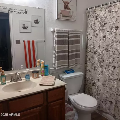 Bath - 719 N Cherry --, Mesa, AZ 85201 photo 2 of 2