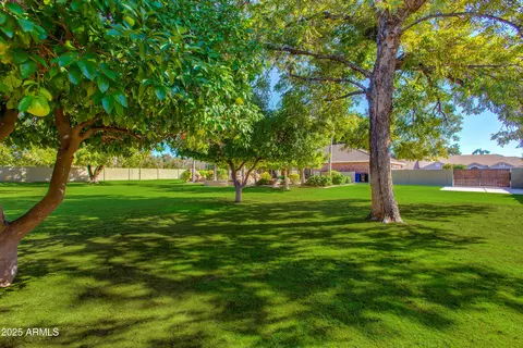 Exterior - 3958 E Juniper Cir, Mesa, AZ 85205 photo 15 of 18