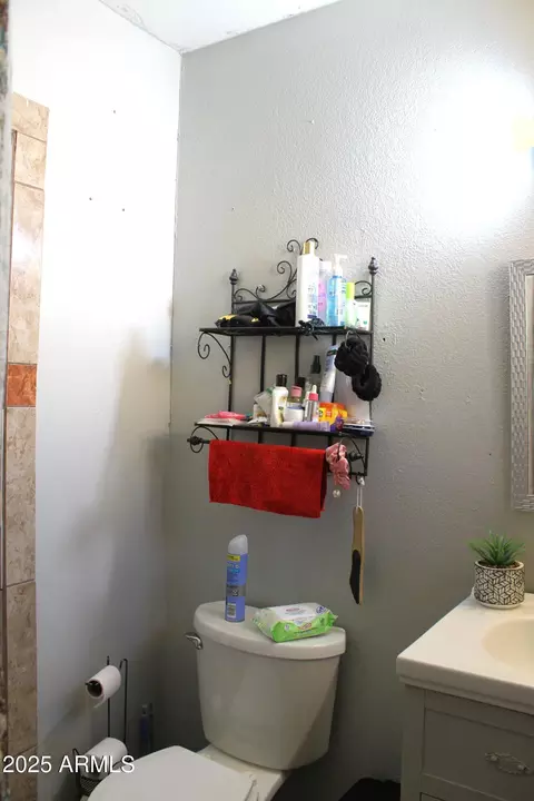 Bath - 5254 S 38th Dr, Phoenix, AZ 85041 photo 2 of 3