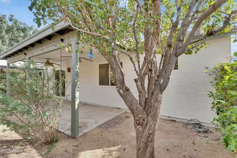 6335 E Brown Rd #1101, Mesa, AZ 85205 photo 31