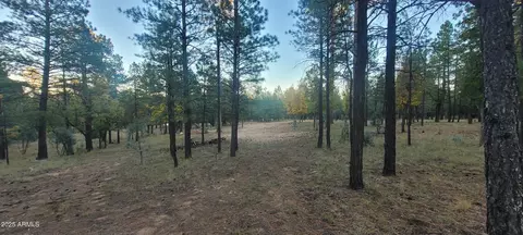 2857 Sparrow Dr #22, Happy Jack, AZ 86024