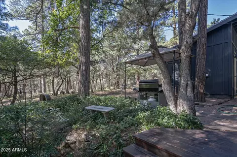 Exterior - 4719 N Pine Ln, Pine, AZ 85544 photo 9 of 10