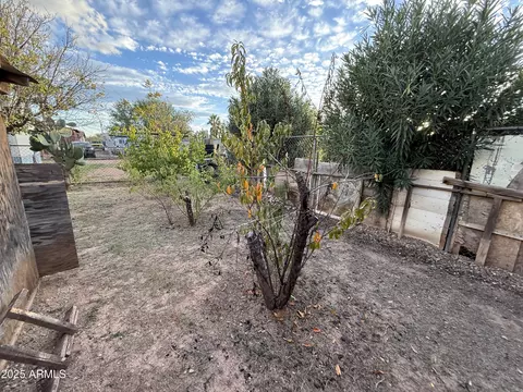 1810 Tomahawk Dr, Douglas, AZ 85607 photo 4
