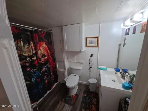 315 S 97th Pl, Mesa, AZ 85208 photo 12