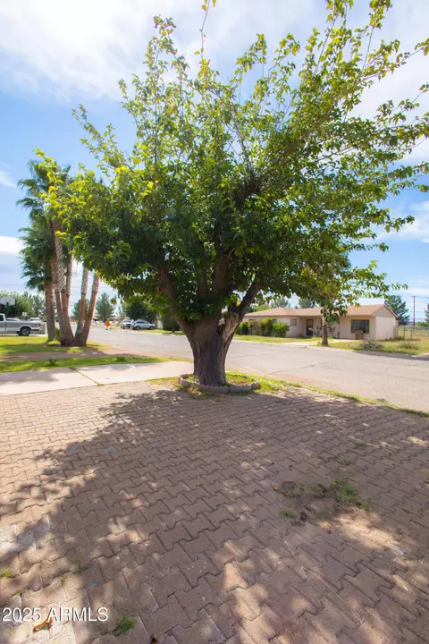 1517 Cochise Dr, Douglas, AZ 85607 photo 35