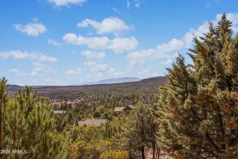 4456 N Preserve Dr, Pine, AZ 85544 photo 25
