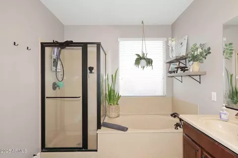 Bath - 2590 E Penedes Dr, Gilbert, AZ 85298 photo 4 of 4