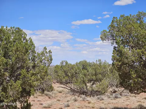 27 N N9183 -- #72, Concho, AZ 85924
