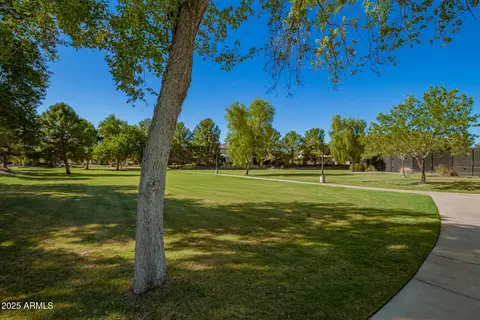 Other - 941 E Drexel Dr, Gilbert, AZ 85297 photo 5 of 6
