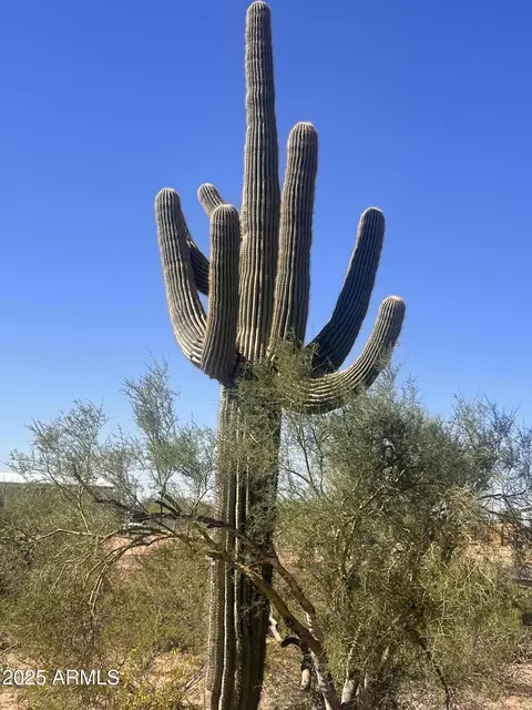 0 S Cortez Rd #A, Apache Junction, AZ 85119 photo 8