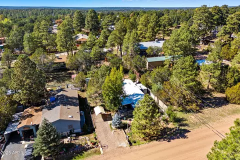 3490 Black Bear Run, Overgaard, AZ 85933 photo 3