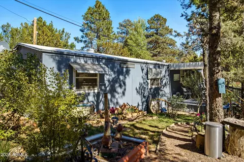 3490 Black Bear Run, Overgaard, AZ 85933 photo 22