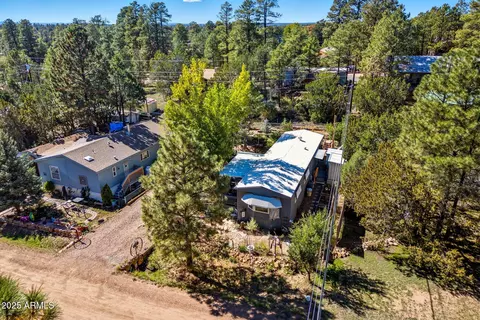 3490 Black Bear Run, Overgaard, AZ 85933 photo 29