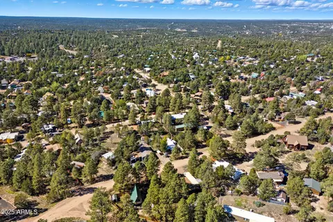 3490 Black Bear Run, Overgaard, AZ 85933 photo 32