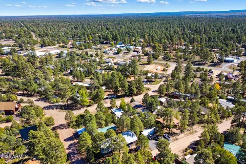3490 Black Bear Run, Overgaard, AZ 85933 photo 31