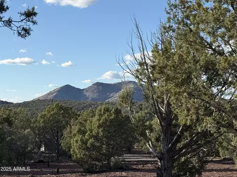17375 Beale Wagon Rd #458 AND 457, Williams, AZ 86046