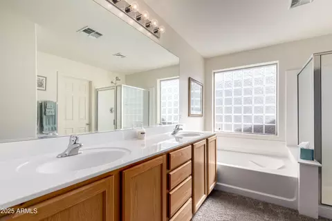 Bath - 900 W Broadway Ave #LOT 72, Apache Junction, AZ 85120 photo 1 of 4