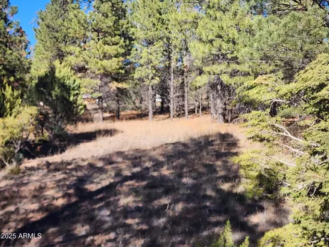 tbd Cedar Bark Trail Parcel -- #4, Overgaard, AZ 85933