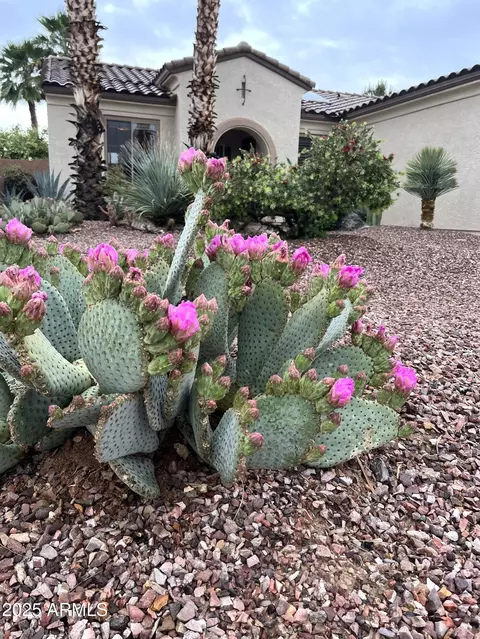 19035 N Aztec Point Dr, Surprise, AZ 85387