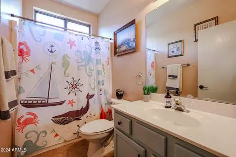 Bath - 40802 N Hearst Dr, Anthem, AZ 85086 photo 1 of 3