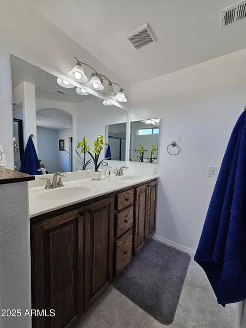 Bath - 3684 E Remington Dr, Gilbert, AZ 85297 photo 3 of 5