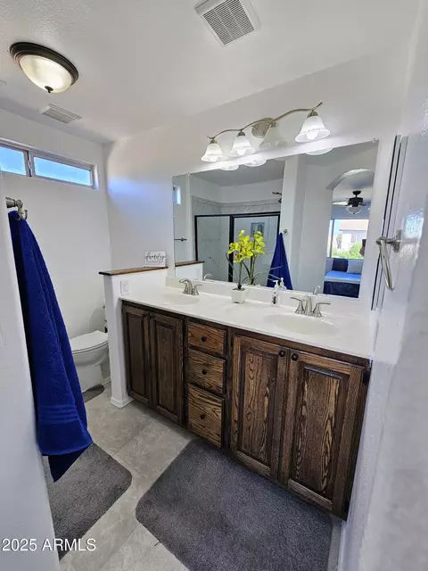 Bath - 3684 E Remington Dr, Gilbert, AZ 85297 photo 2 of 5