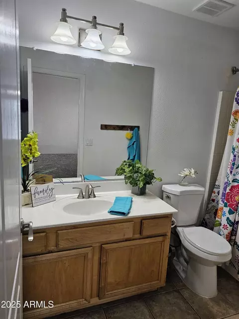 Bath - 3684 E Remington Dr, Gilbert, AZ 85297 photo 5 of 5